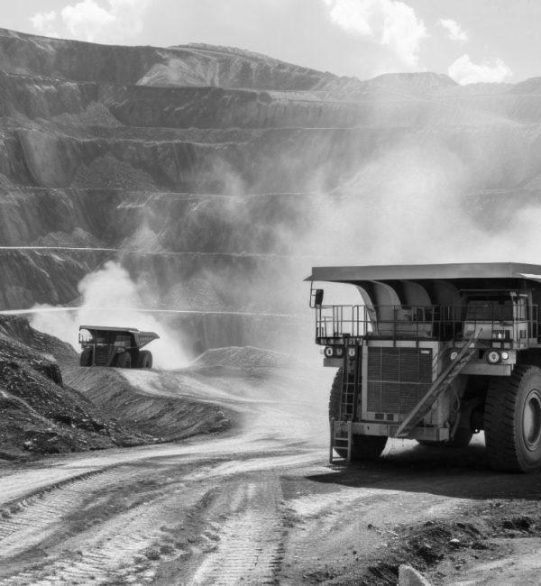 mineria-estudio-carrion